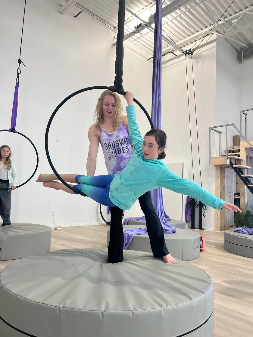 Aerial hoop